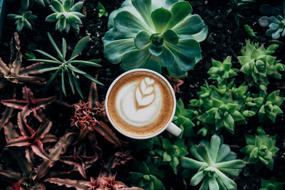 Latte art